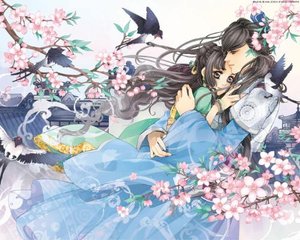 伊甸园大象官网入口